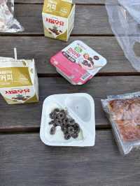 🏞️南山の自然に包まれた極上ステイ【バンヤンツリークラブ＆スパ ソウル】🌙