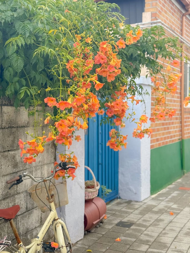 (실시간) 내가 조와하는 경주의 여름🌿