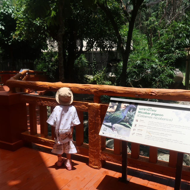 NIGHT SAFARI จ.เชียงใหม่