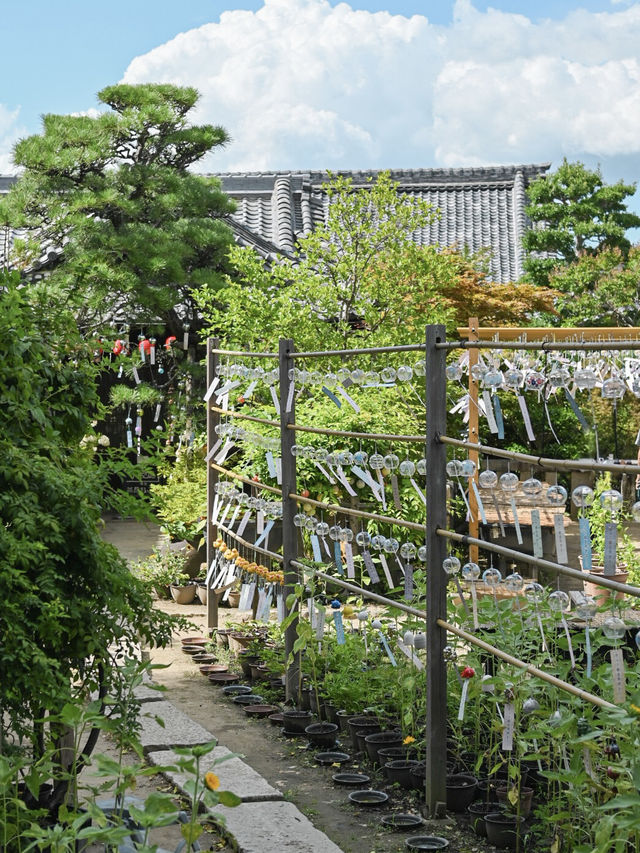 【奈良】風鈴まつり&情緒溢れる今井町巡り 【奈良】風鈴まつり&情緒溢れる今井町巡り