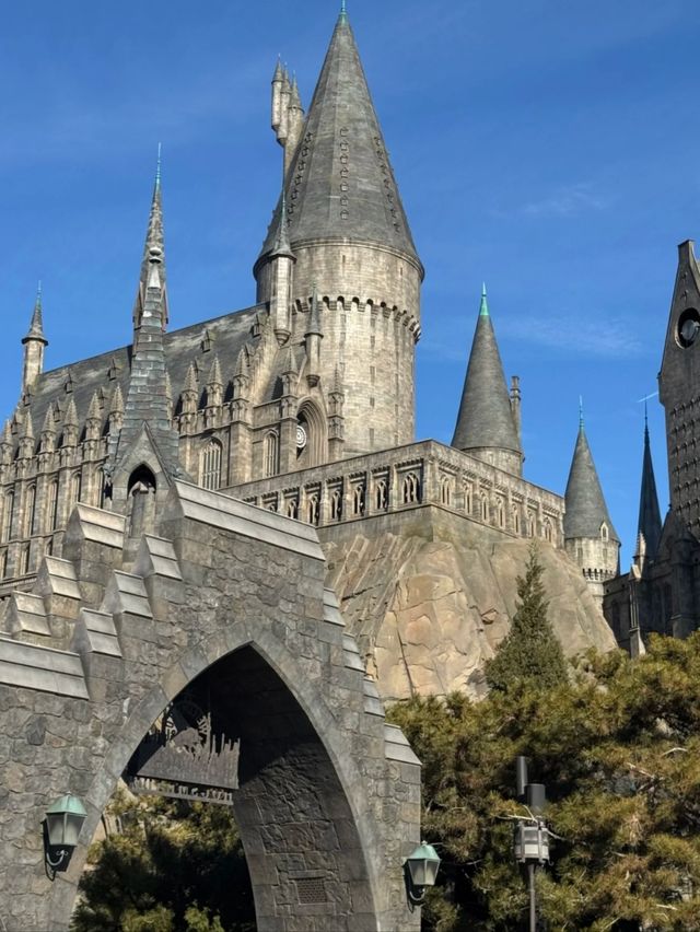 From Muggles to Magic: Kids Discover Hogwarts in Beijing