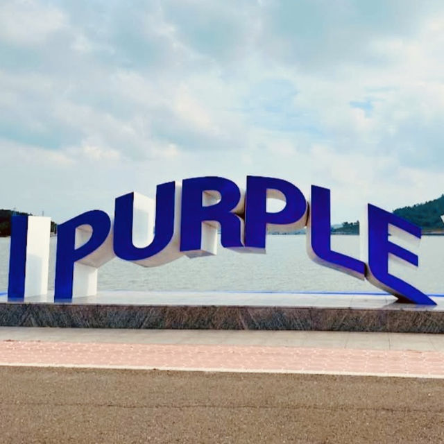 🌙💙 *Banwol Island (반월도): Korea’s Dreamy "Half-Moon" Purple Paradise* 🏝️🌸