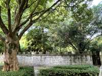 🌿 Escape to Dujiangyan 都江堰 — Where Nature, History & Serenity Meet