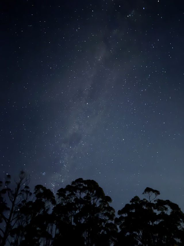 A Moment Between Earth and Sky ✨