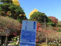 1 DAY TRIP IN KAMAKURA