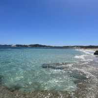 【ロットネスト島でクオッカ探し＆絶景サイクリング🌊🚲】