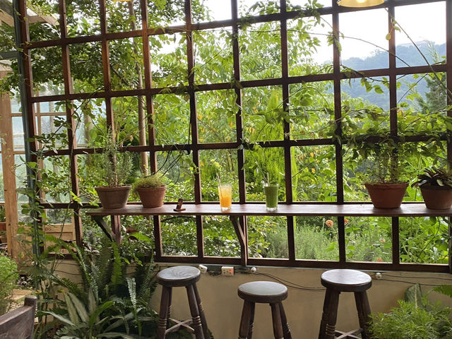 The Summer Garden Café – Da Lat