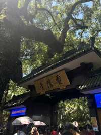 Lingyin Temple Hangzhou