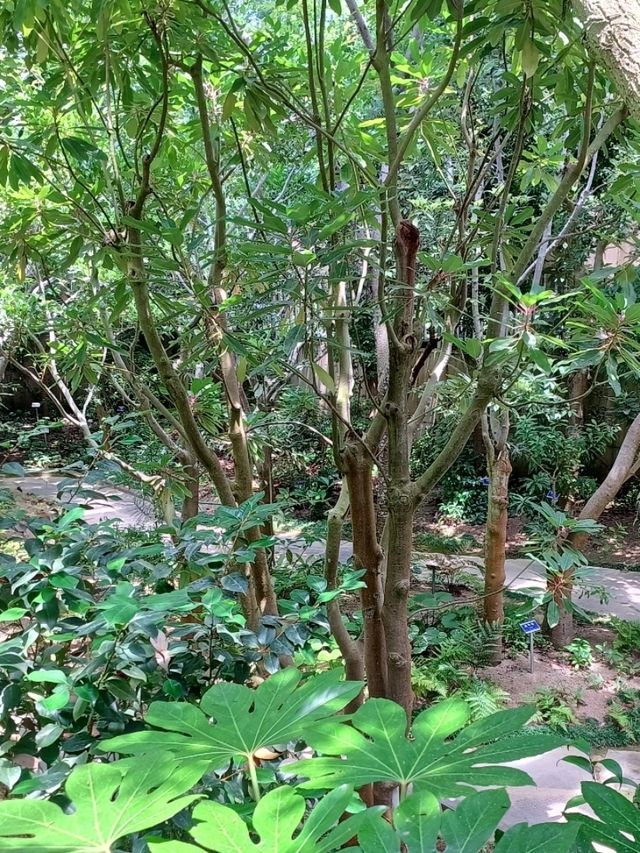 🌿 진주수목원, 실내외에서 자연을 온몸으로!