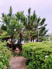 Secret Garden: Stunning Oasis of Beauty and Botanical Wonders
