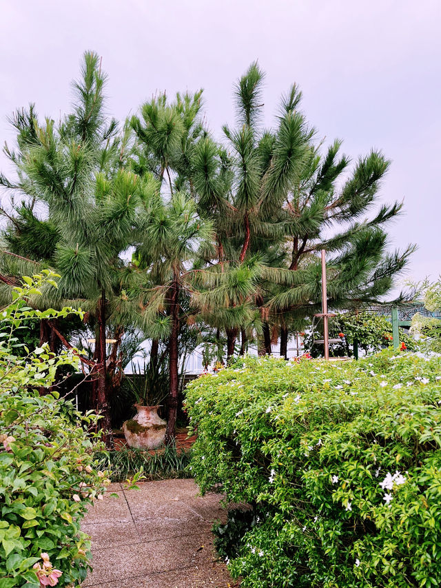 Secret Garden: Stunning Oasis of Beauty and Botanical Wonders