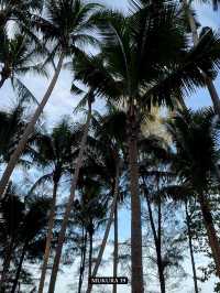 บานานาบีช หาดลับแสนสวยที่ควรไปเยือนสักครั้ง