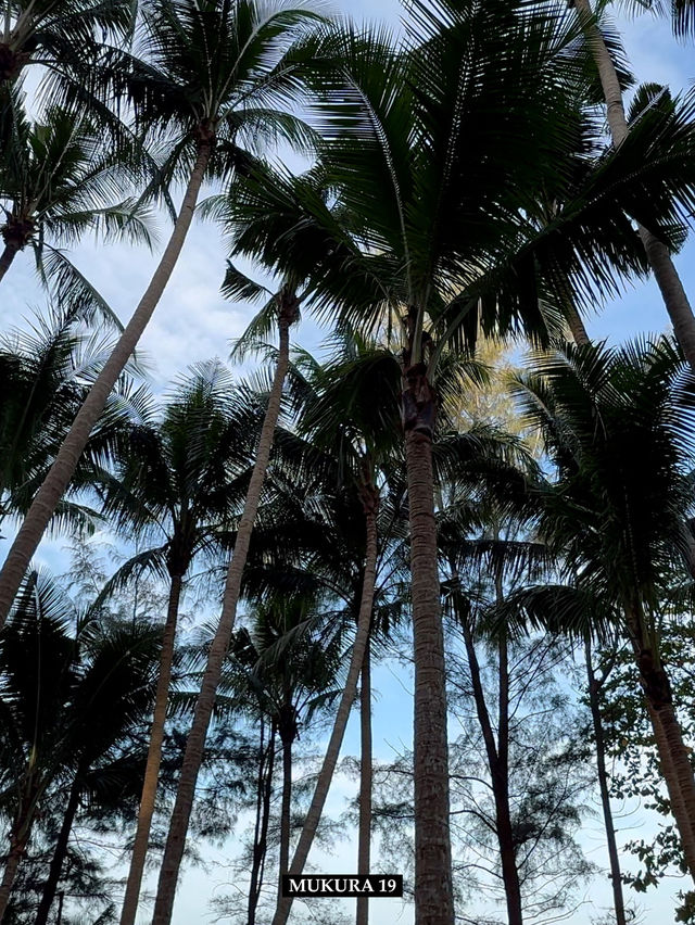 บานานาบีช หาดลับแสนสวยที่ควรไปเยือนสักครั้ง บานานาบีช หาดลับแสนสวยที่ควรไปเยือนสักครั้ง
