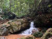 A Hidden Green Escape – Hutan Simpan Renggam Awaits