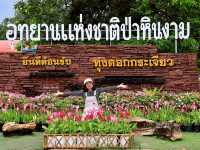 ทุ่งดอกกระเจียว อุทยานแห่งชาติป่าหินงาม