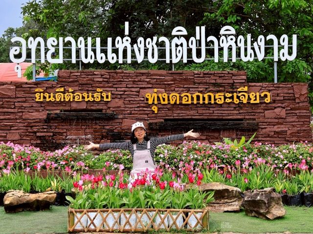 ทุ่งดอกกระเจียว อุทยานแห่งชาติป่าหินงาม