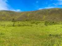Breathtaking Heights of Mount Kulago