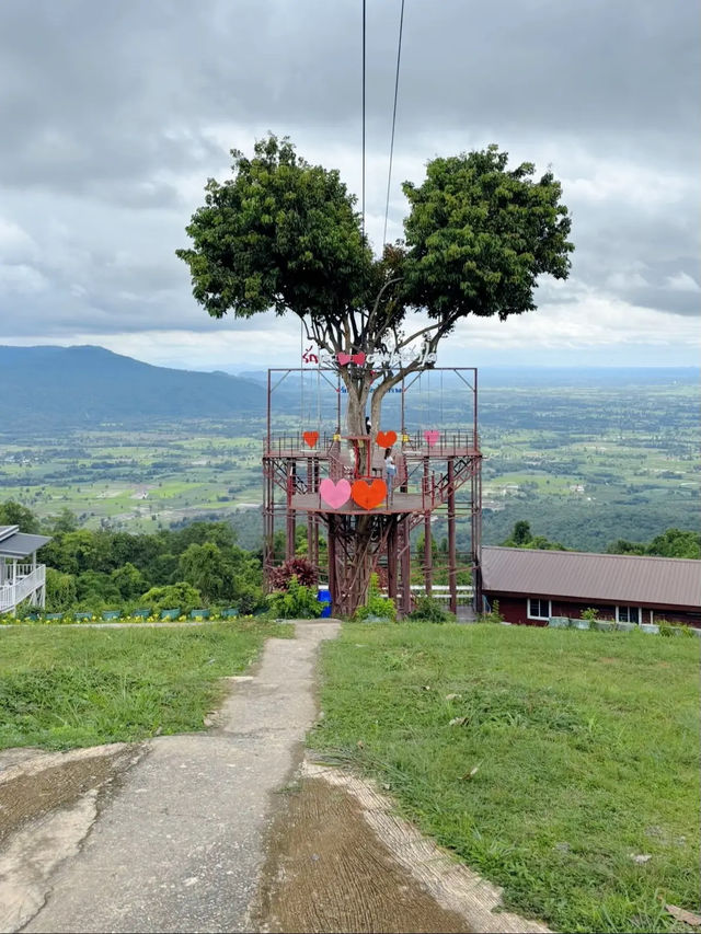 บ้านสวนชมวิว ต้นไม้หัวใจ (Heart tree house)
