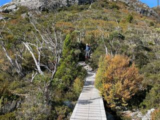 Marion’s Lookout Walk (Tasmania)