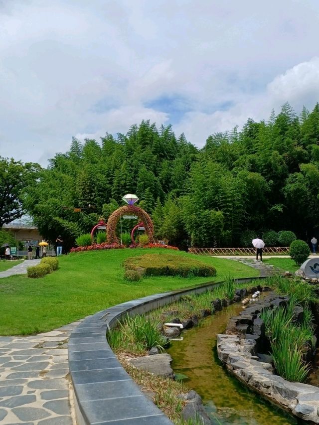 여름의 초록 파도, 태화강 국가정원 🌿 여름의 초록 파도, 태화강 국가정원 🌿