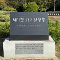 Wandering Through Yangdong’s Living Tapestry
