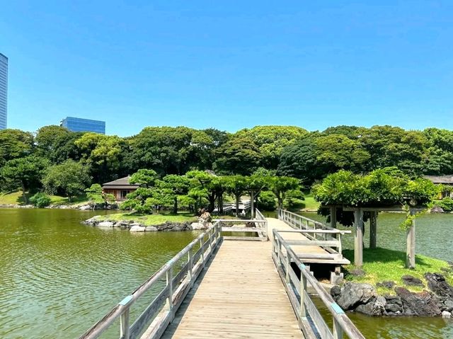 Tranquility at Hamarikyu Gardens Tranquility at Hamarikyu Gardens