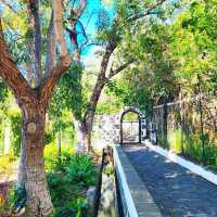 Explore the Historic Beauty of Arucas