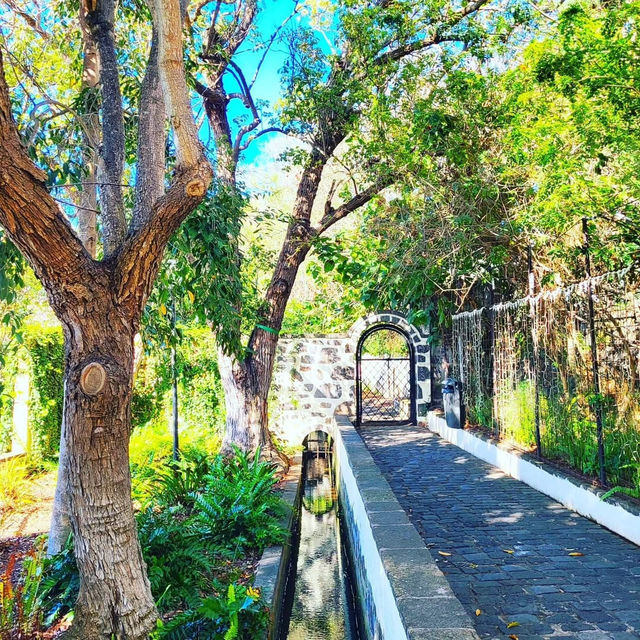 Explore the Historic Beauty of Arucas Explore the Historic Beauty of Arucas