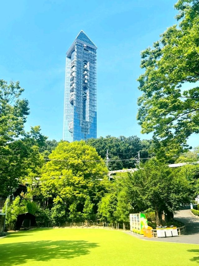 Nature and Wildlife at Higashiyama Zoo and Botanical Gardens