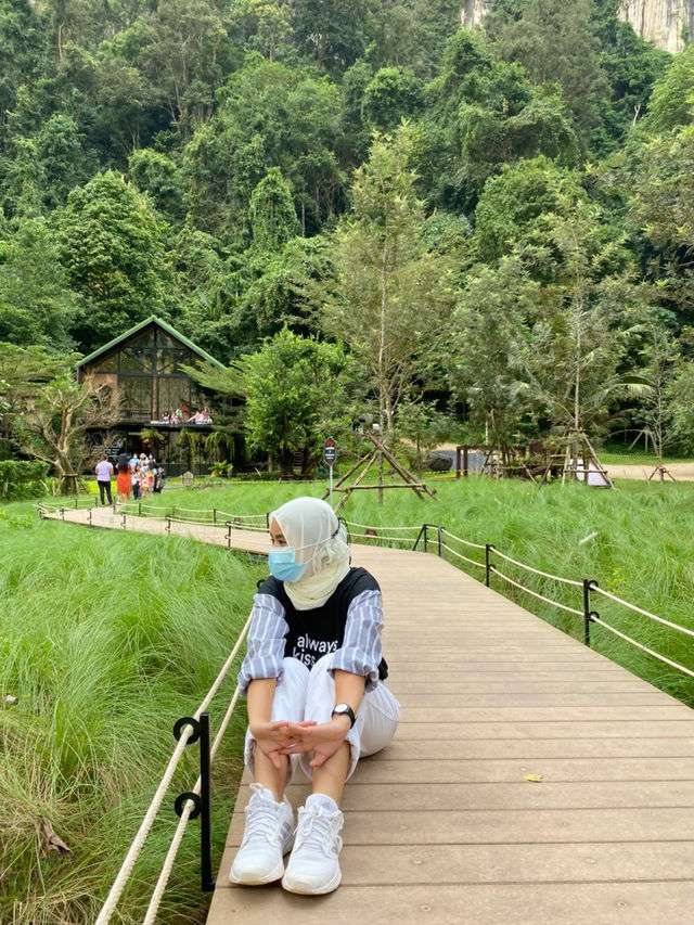 Into the forest 🌳🎍