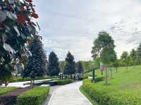 Wellness Garden: A Breath of Calm at Eco Majestic 
