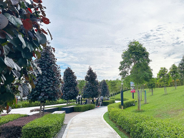 Wellness Garden: A Breath of Calm at Eco Majestic 