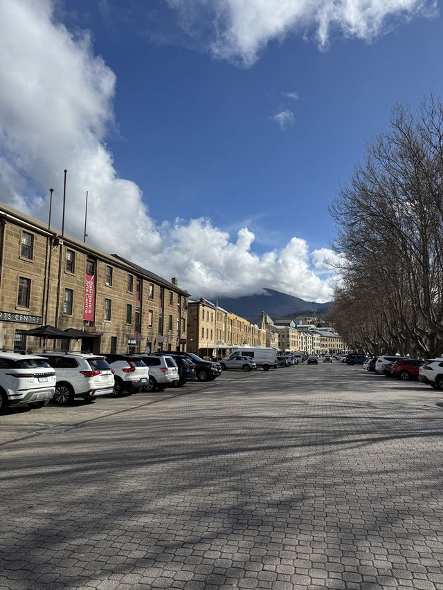 🇦🇺 薩拉曼卡市集（Salamanca Market）** 是霍巴特乃至整個塔斯馬尼亞最負盛名的必體驗項目。