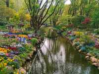 Gongqing Forest Park: Shanghai's Wild Heart