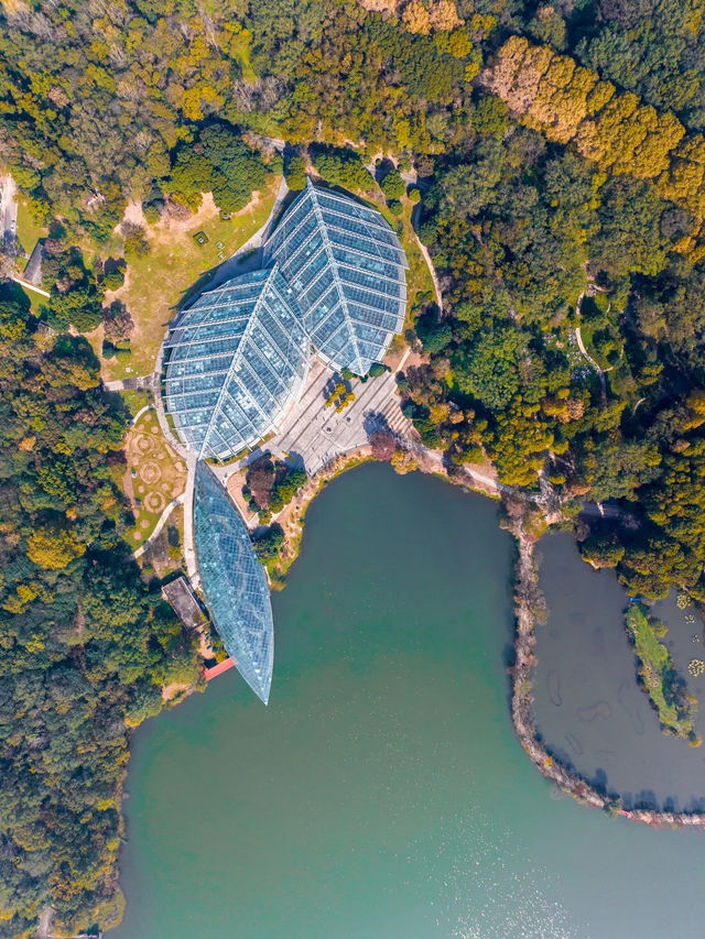 【中山公園｜南京綠意與歷史寫給城市的長信】