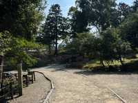 松江城馬洗池 武士遺跡再現與環境修復🐎💧🌿