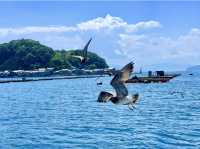 Ine Bay Kyoto 🇯🇵 สวยย So จึ้งใจมากกก 🩵