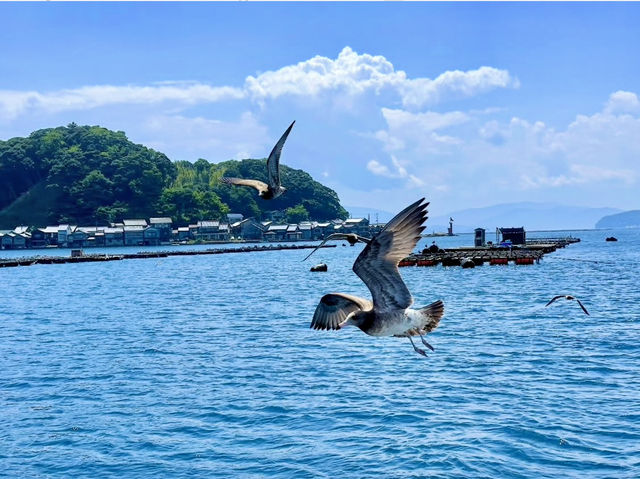 Ine Bay Kyoto 🇯🇵 สวยย So จึ้งใจมากกก 🩵