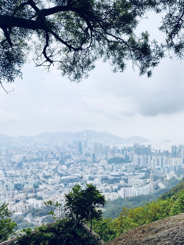 到香港玩點不一樣的～ 來去爬「獅子山」