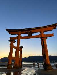 夜晚宮島靜賞建築遠景