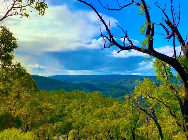 Bibbulmun Track｜探索世界級健行步道