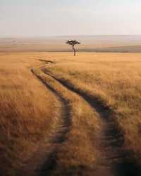 15-day luxury safari plan Zambia → Zimbabwe → Kenya → Tanzania,