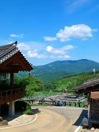 연꽃잎과 숲 사이의 숨숨 노트