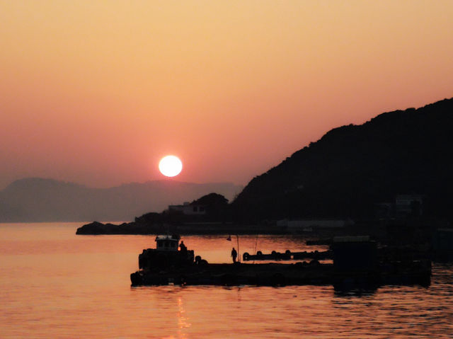 日落下的南蓮園池秘境🌅   日落下的南蓮園池秘境🌅
