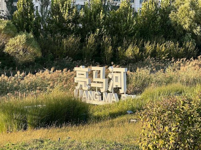 Чаоян парк