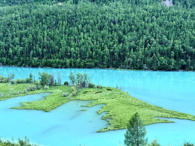 The Golden Veins of Altay