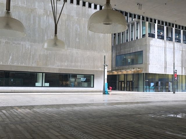 child住去打卡m+博物館