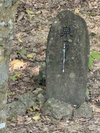 日本沖繩｜齋場御嶽久高島遙拝所：望向聖島的信仰之窗