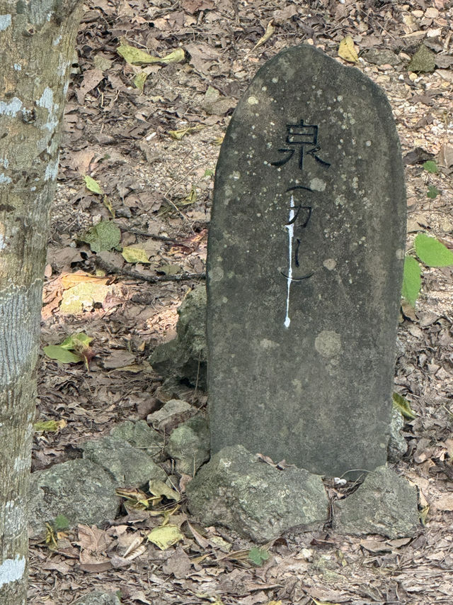 日本沖繩｜齋場御嶽久高島遙拝所：望向聖島的信仰之窗