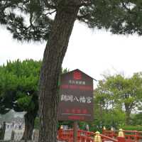 在鐮倉邂逅千年時光｜鶴岡八幡宮穿越指南